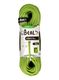 Динамично въже Beal Virus 10 mm 80 m Standard - solid green