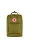 Раница за лаптоп Fjallraven Kanken Laptop 17 - foliage green