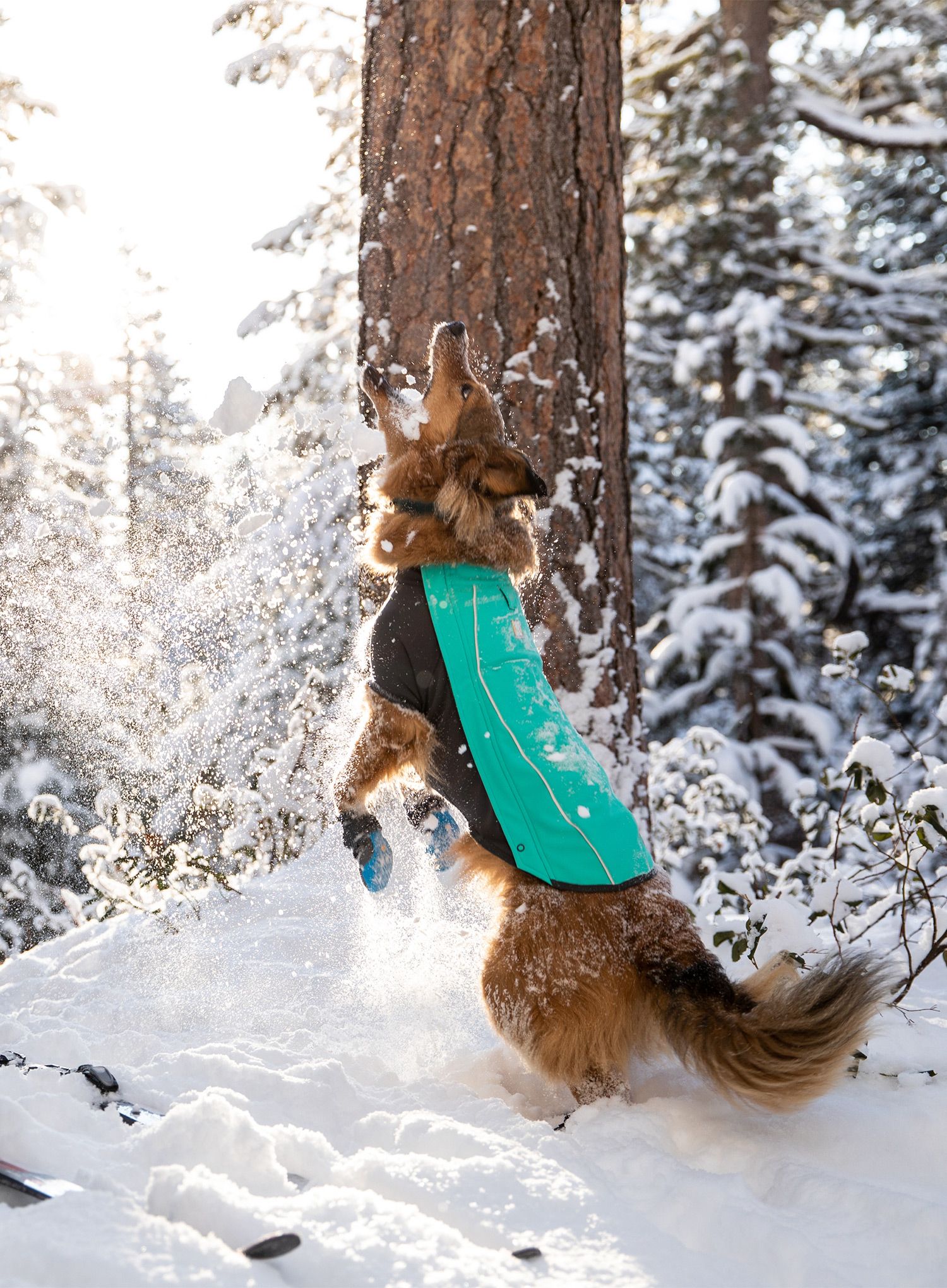Яке за куче Ruffwear Cloud Chaser Jacket - aurora teal | 8a.bg