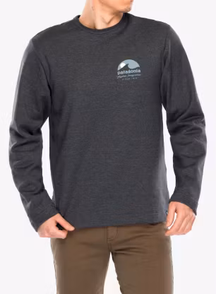 PatagoniaLWAppliedImaginationWildriseCrew_inkblac196924941663e.webp