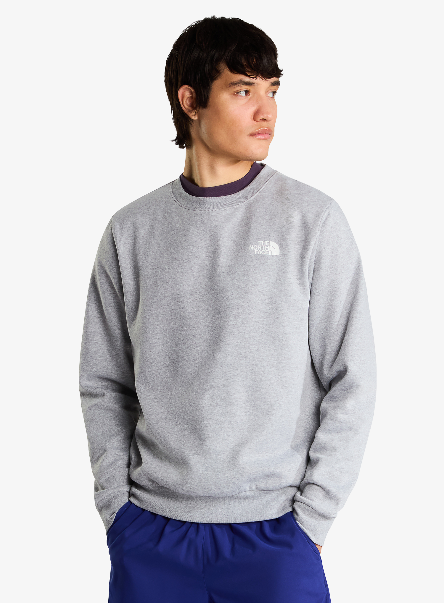 TheNorthFaceEvolutionBoxNSERegularCrew_palegreyheather_fw26_198266069364_1_364.webp