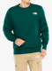 TheNorthFaceSimpleDomeCrew_huntergree197804307012a.webp