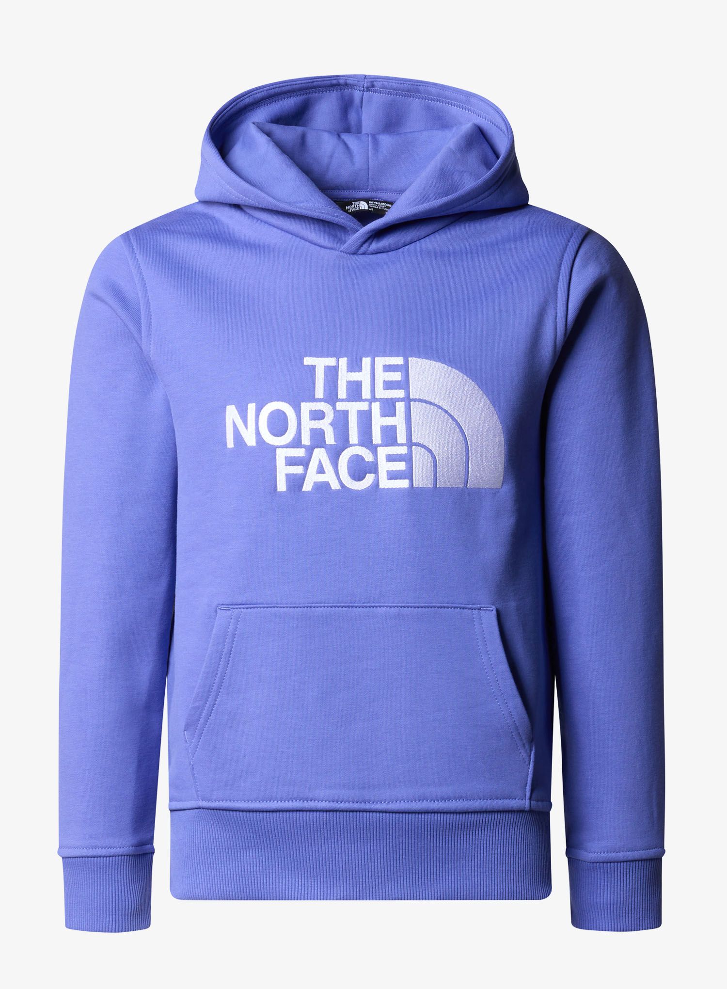 TheNorthFaceDrewPeakPOHoodie_dopamineblue_197063496373b.jpg