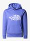 TheNorthFaceDrewPeakPOHoodie_dopamineblue_197063496373b.jpg