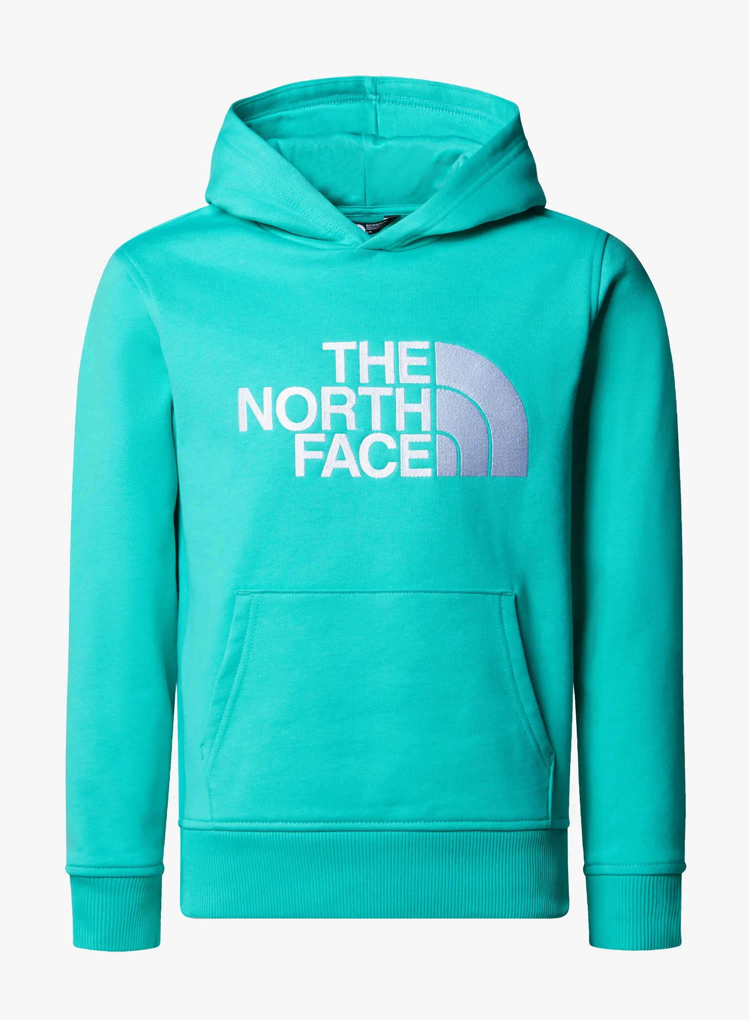 qwe_TheNorthFaceDrewPeakPOHoodiegeyseraqua_a.webp