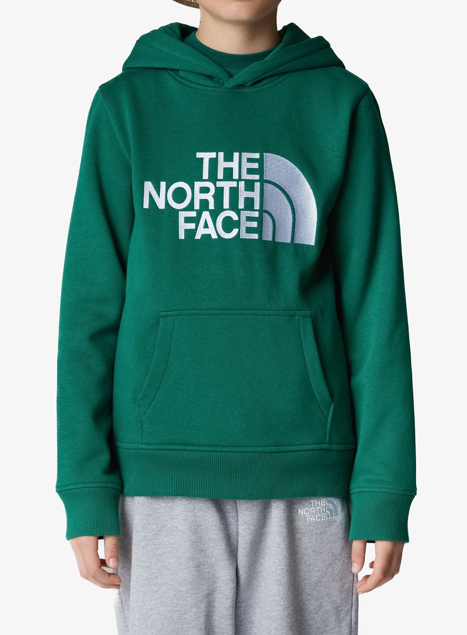 TheNorthFaceDrewPeakPOHoodie_evergreen197064991488a.jpg