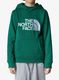 TheNorthFaceDrewPeakPOHoodie_evergreen197064991488a.jpg