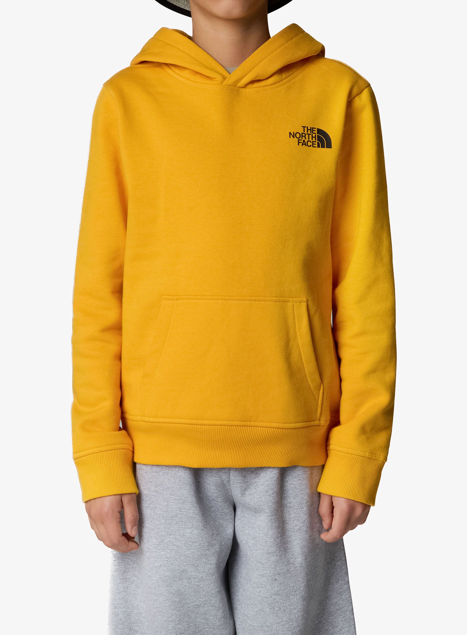 TheNorthFaceRedboxRegularPOHoodie_summitgold197064990429a.jpg