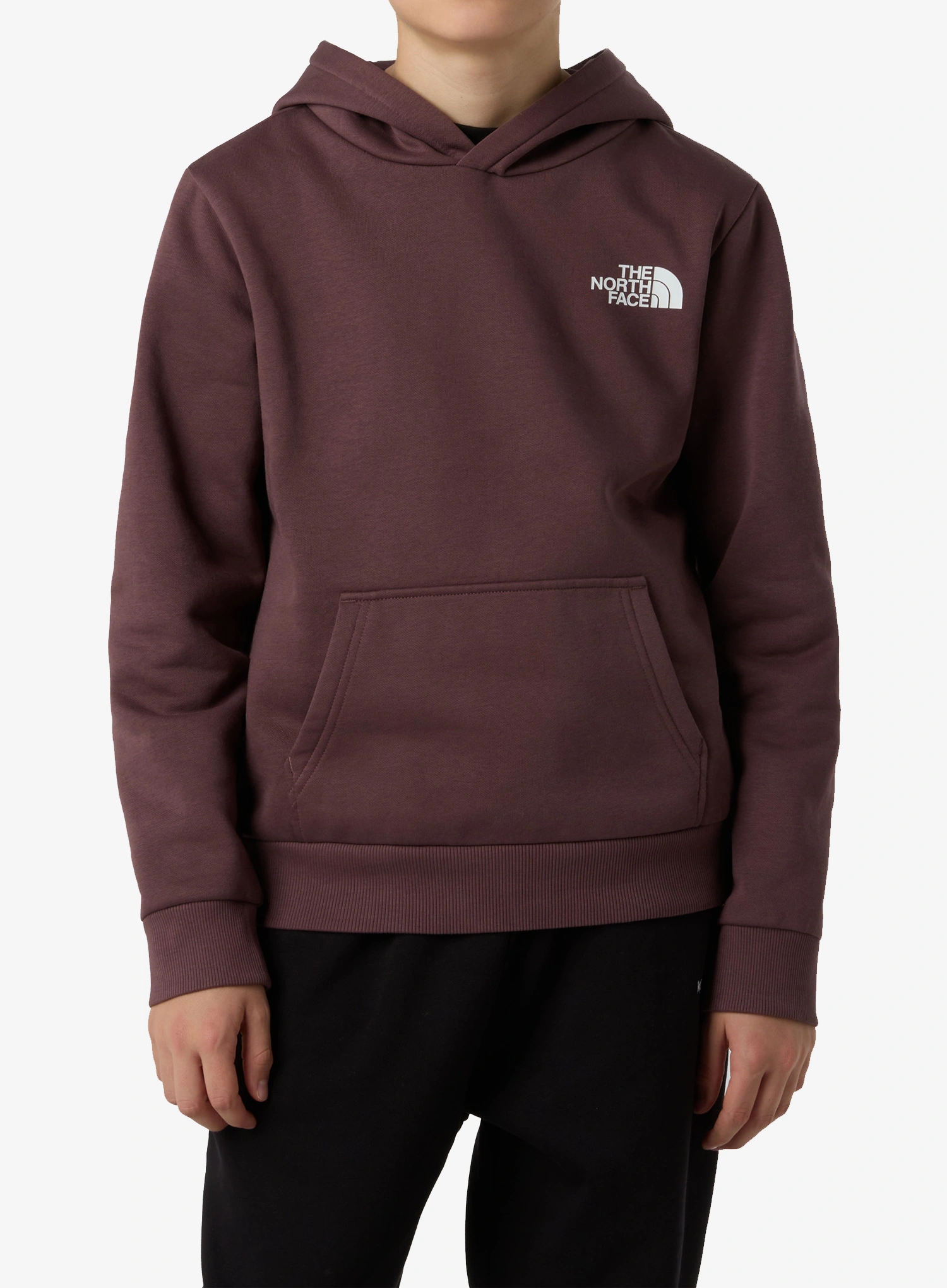 qweTheNorthFaceSimpleDomeHoodie_tawnyquartz197804059188a.webp