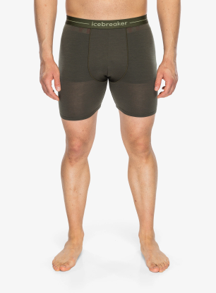 IcebreakerAnatomicaLongBoxers_dkloden_125.webp