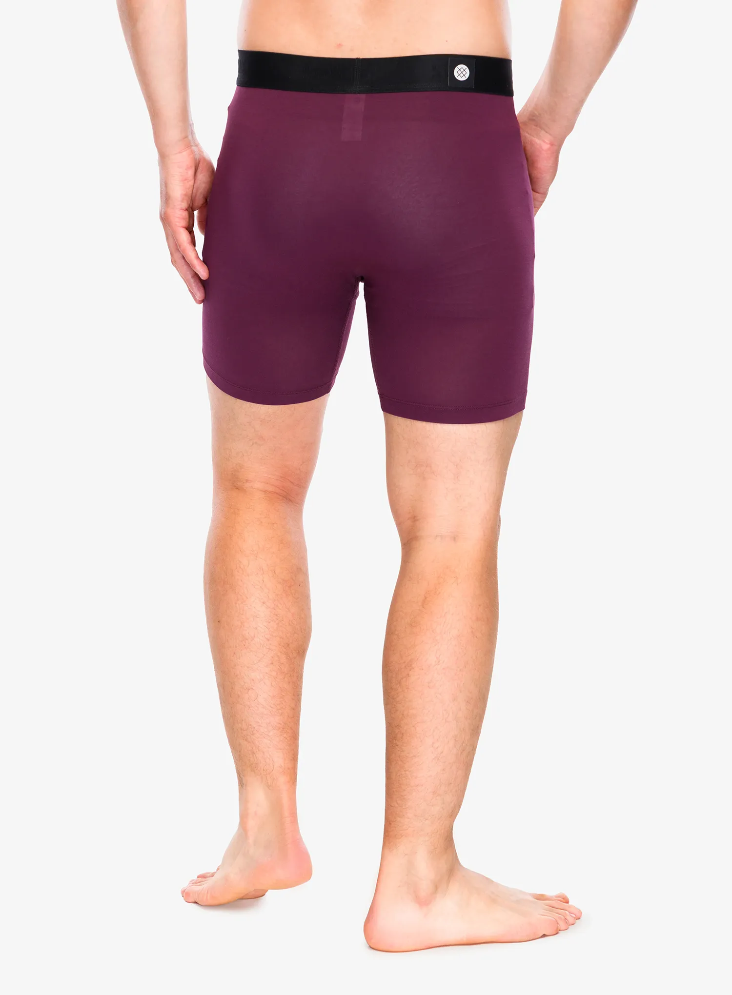 Термоактивни боксерки Stance Fig Wholester - fig