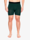 StanceTheBoxerBrief_pinewholester190107648783a.webp