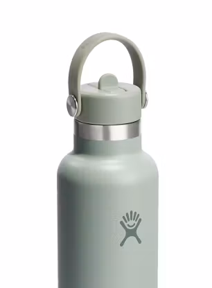 Термобутилка Hydro Flask 21 Oz Standard Flex Straw Cap (621 ml) - agave