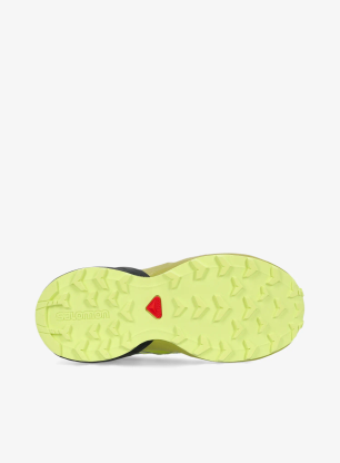 Детски обувки Salomon Speedcross J - urban/green/citron