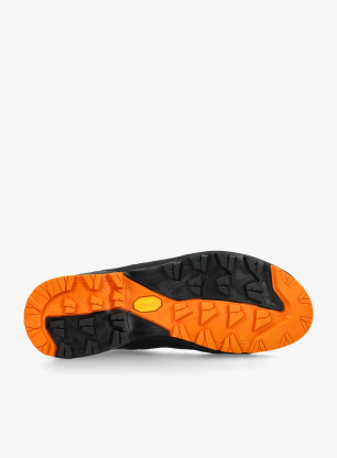 Дамски апроуч обувки AKU Rock DFS II GTX - grey/orange