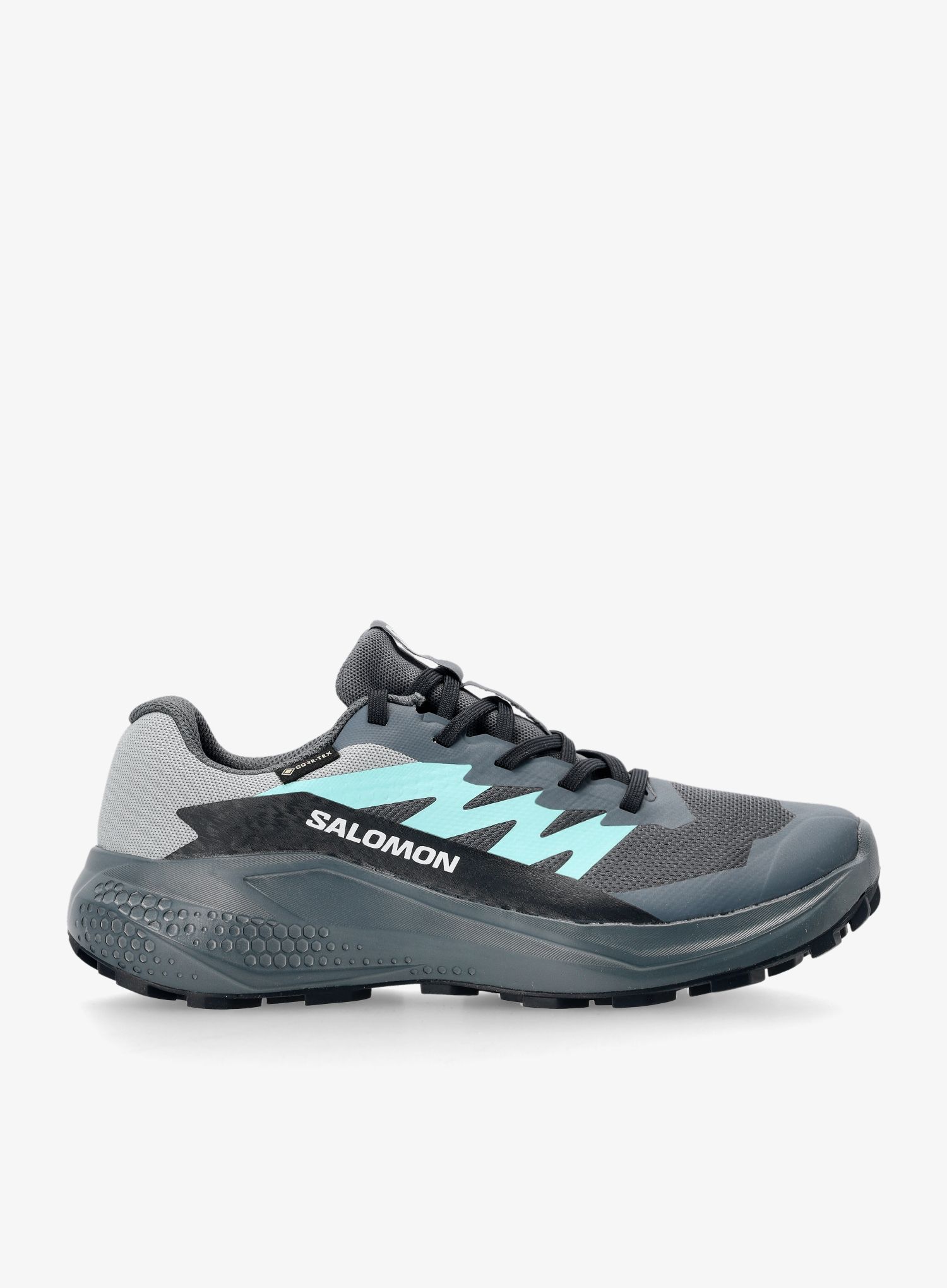 SalomonAlphaglideGTX_turbulencebluenavy_195751906708a.jpg