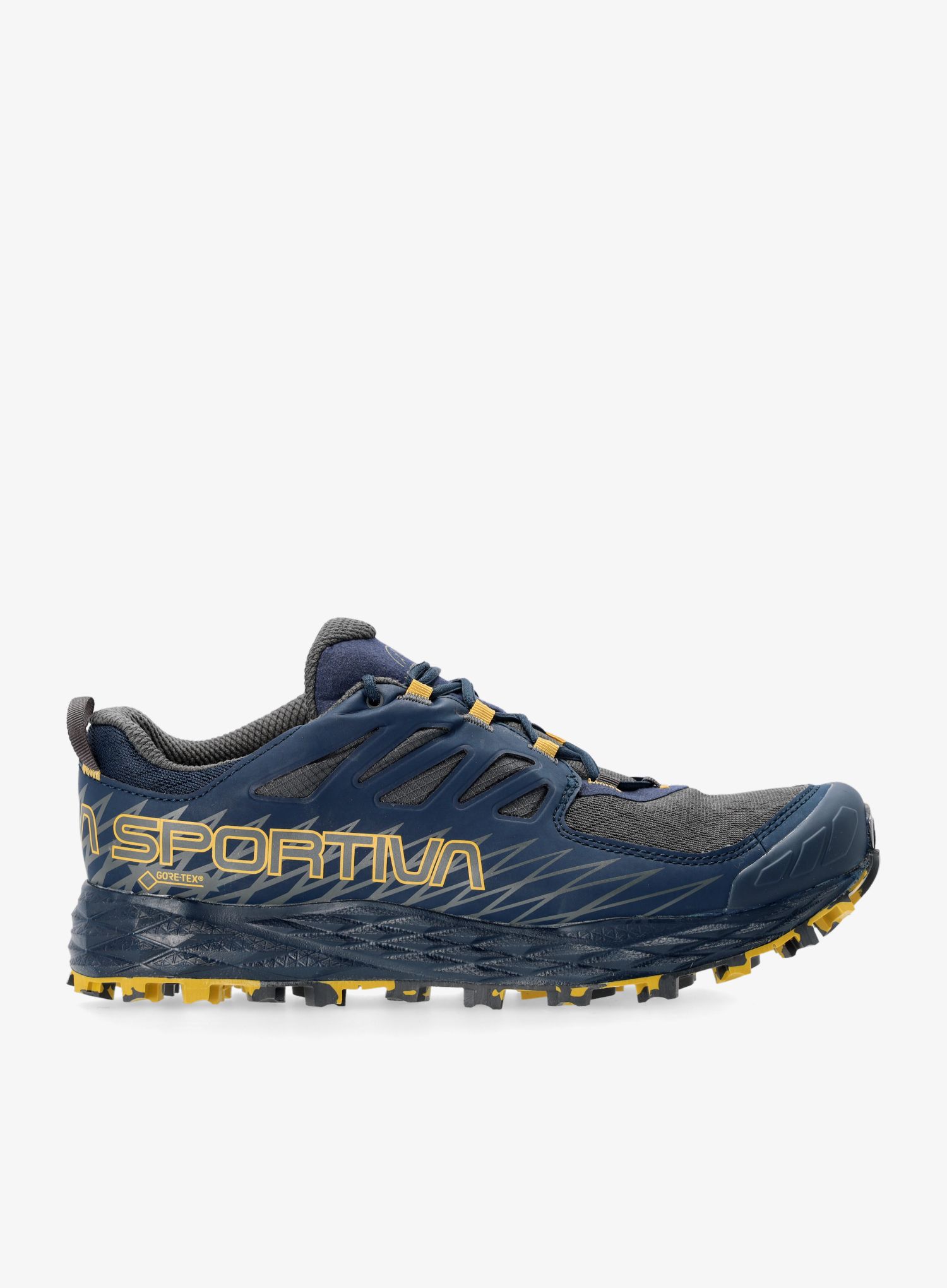 LaSportivaLycanGTX_nightblue_moss_420.jpg