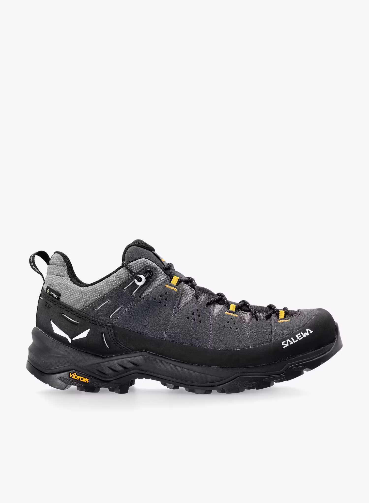 SalewaAlpTrainer2GTX_onyx_black_4053866544641a.jpg