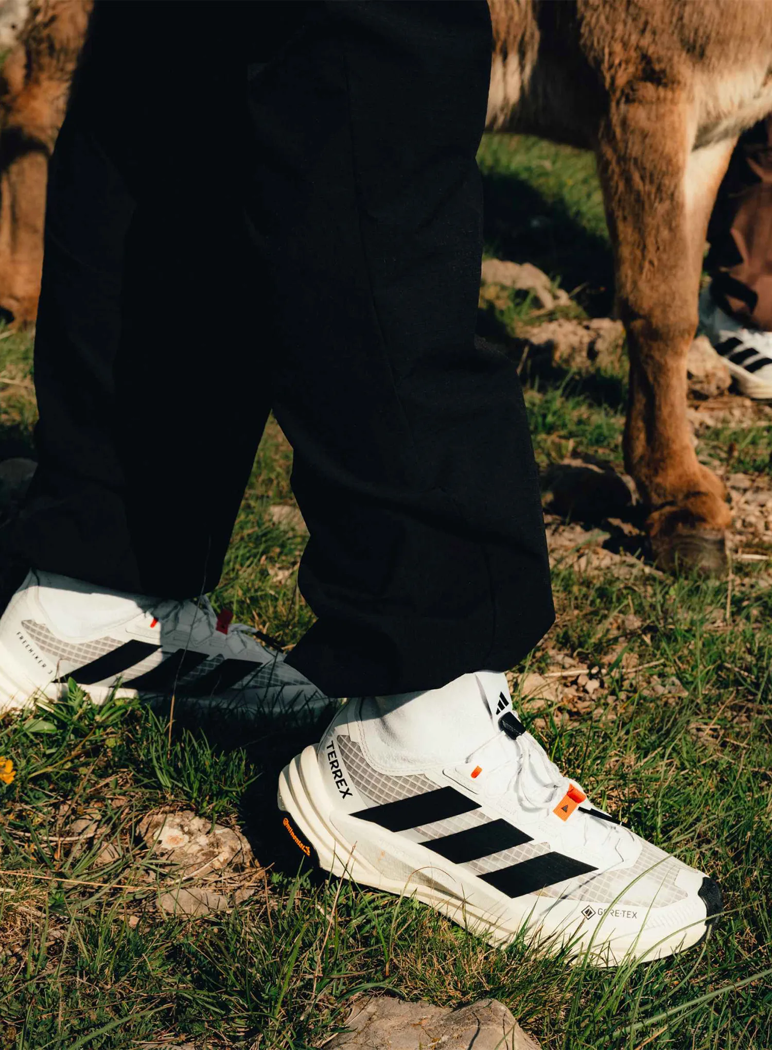 Дамски туристически обувки adidas TERREX Freehiker 3 Ultra GTX - ftwr white/core blk/off white