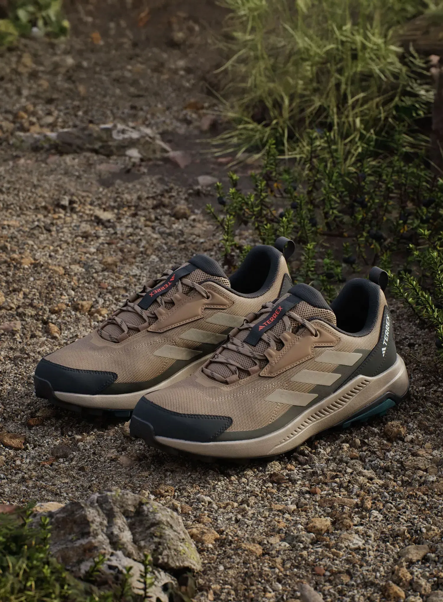 Ниски туристически обувки adidas TERREX Anylander - cardboard/blanch car/shad oliv