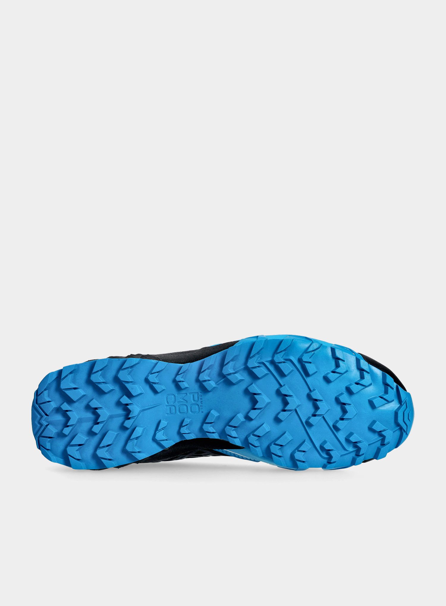 Мъжки обувки за бягане Dynafit Feline SL - asphalt/methyl blue