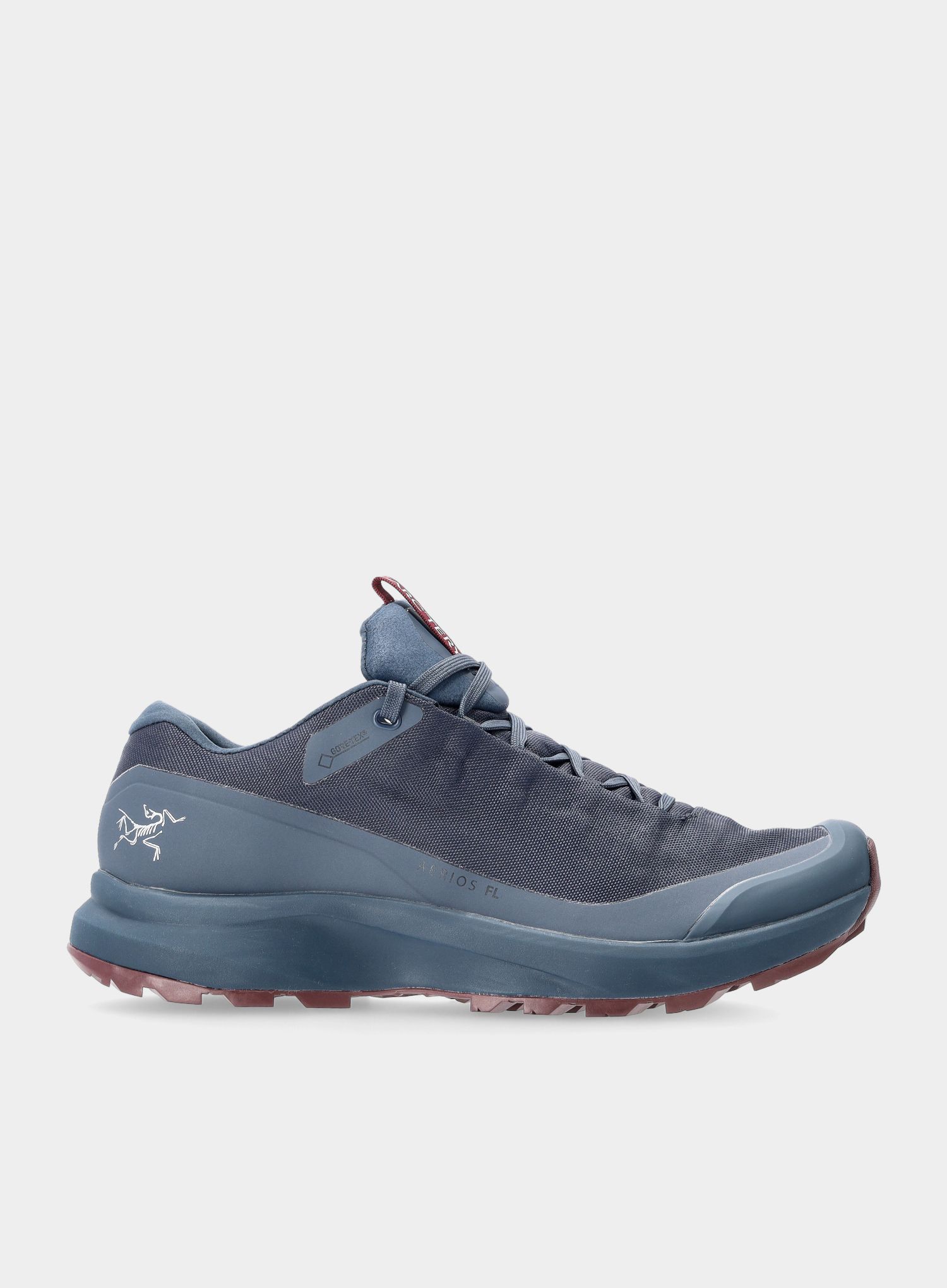 Дамски туристически обувки Arcteryx Aerios FL GTX - exosphere/rhapsody