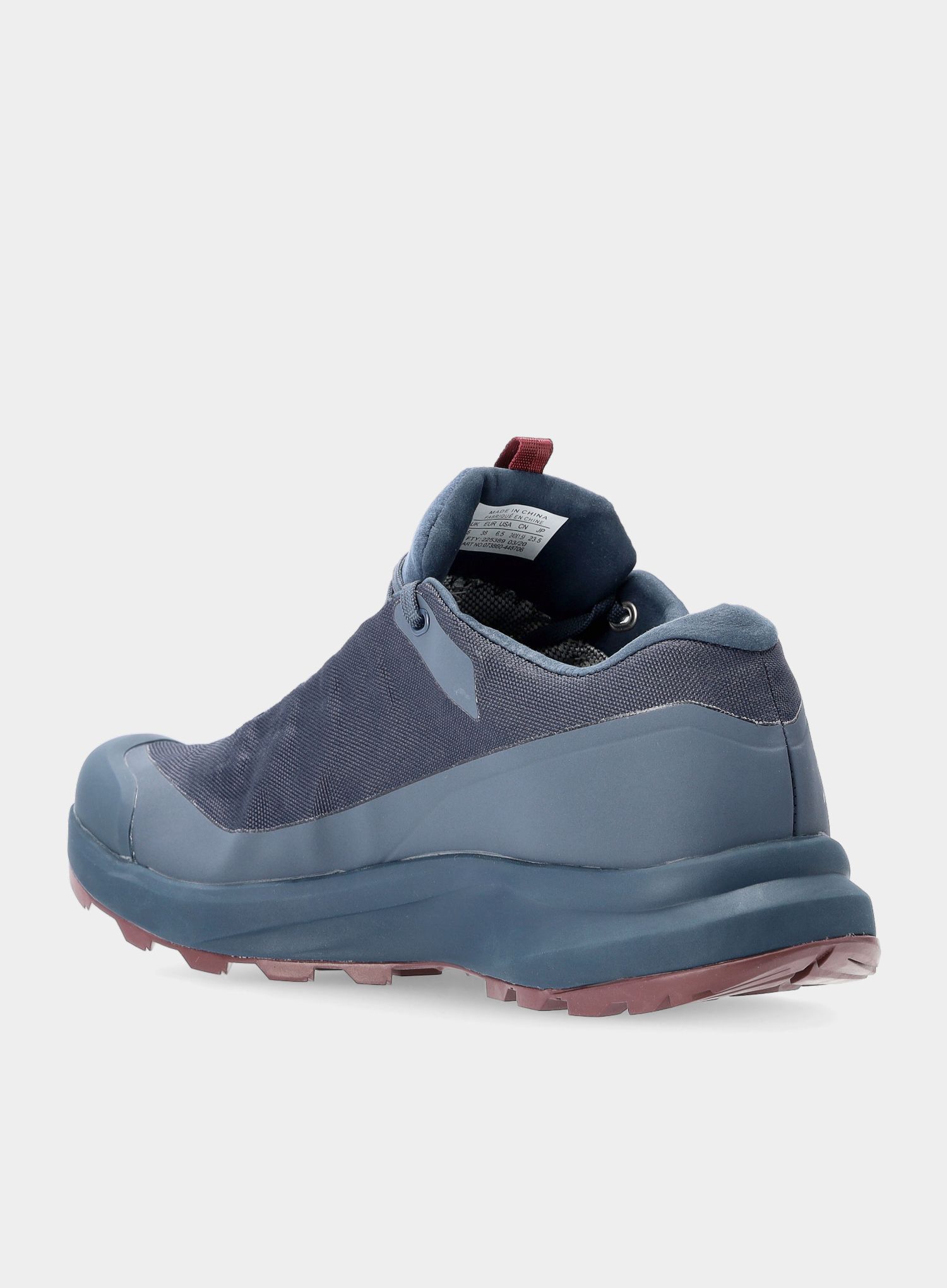 Дамски туристически обувки Arcteryx Aerios FL GTX - exosphere/rhapsody