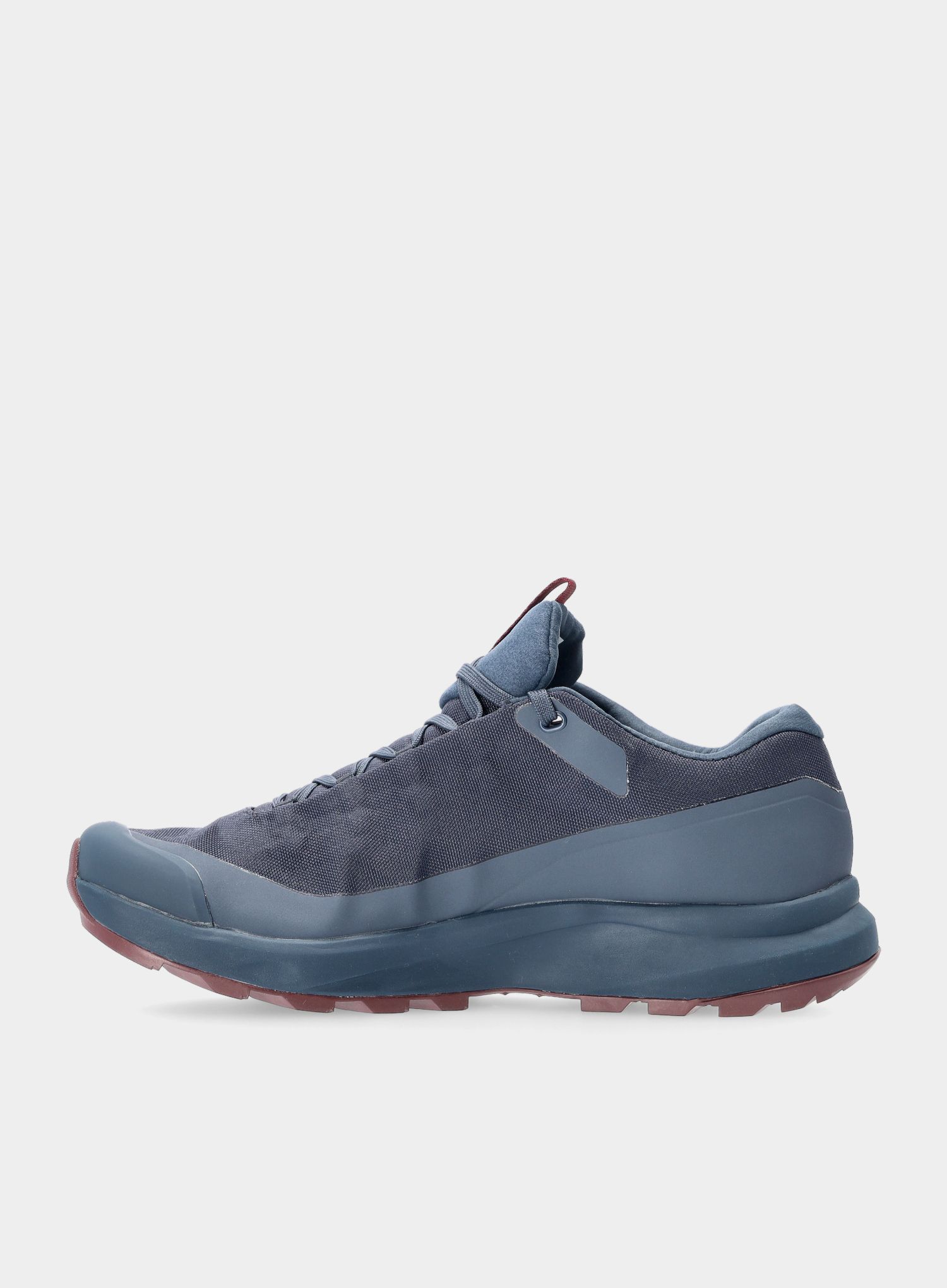 Дамски туристически обувки Arcteryx Aerios FL GTX - exosphere/rhapsody