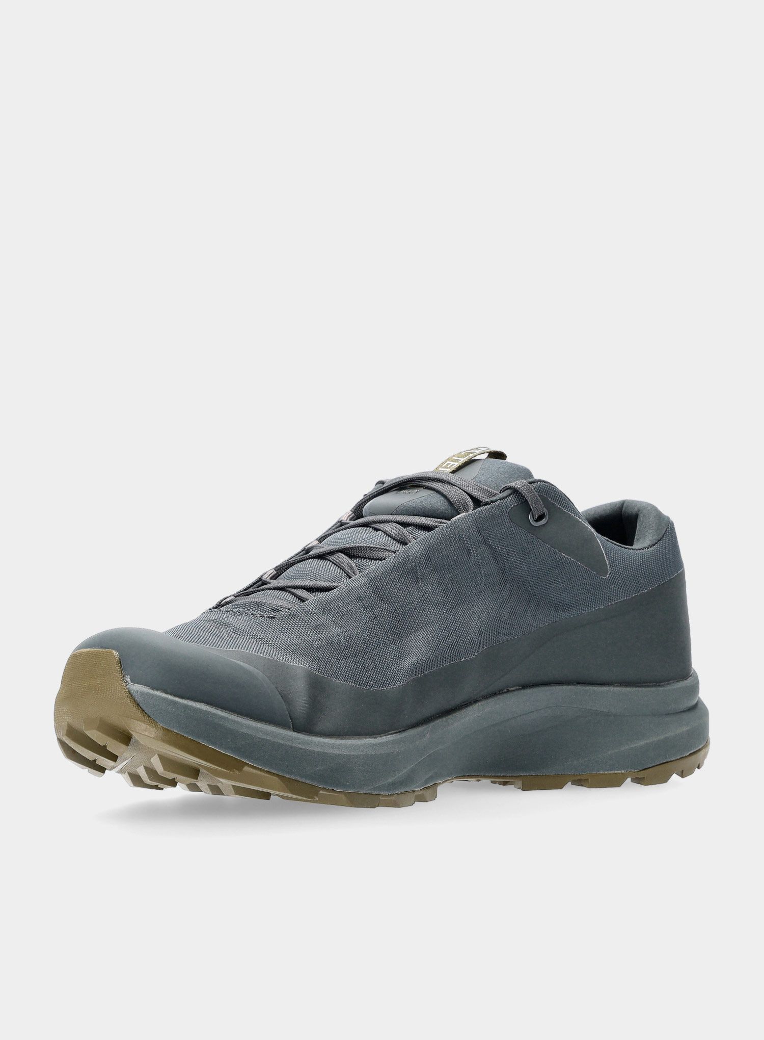 Мъжки туристически обувки Arcteryx Aerios FL GTX - cinder/bushwack