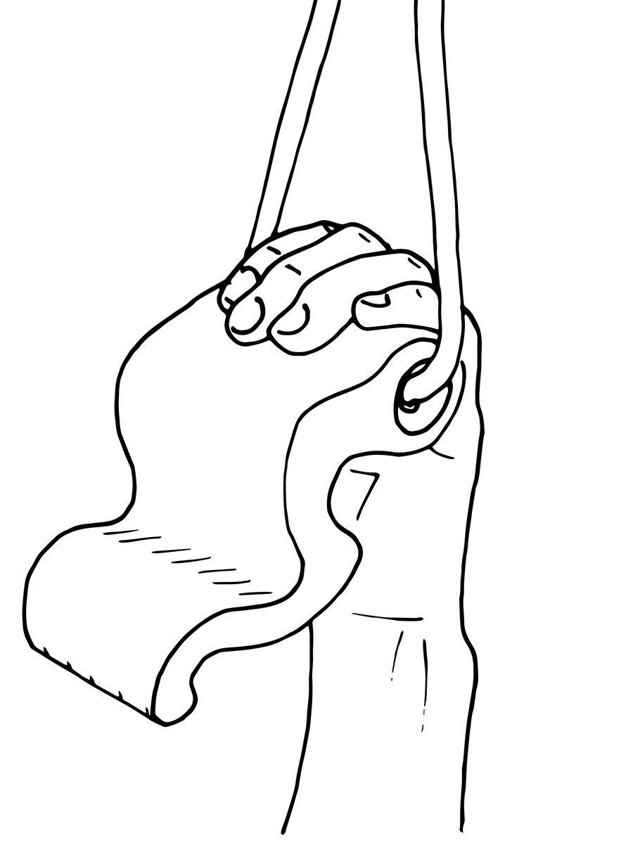 Тренировъчни хватки Max Climbing Maxgrip - black