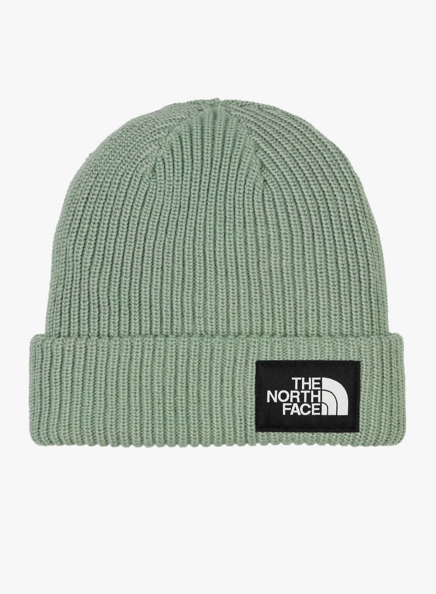 qweTheNorthFaceSaltyLinedBeanie_slatemoss197803996033a.webp