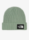 qweTheNorthFaceSaltyLinedBeanie_slatemoss197803996033a.webp