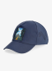 CrazyCapBrovan8059897954226a.webp