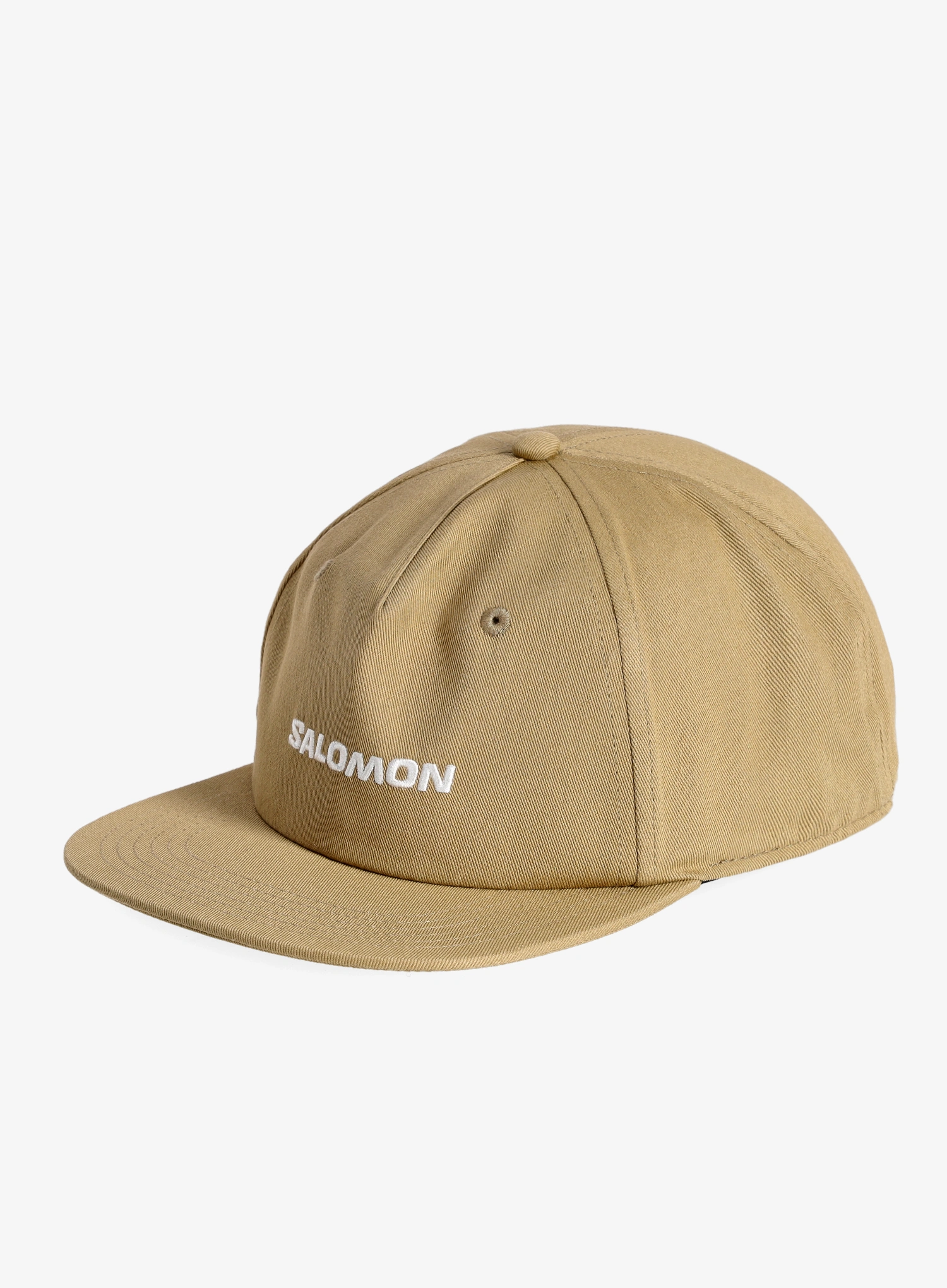 SalomonLogoFlatCapgraygreen198720174337a.webp