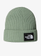 qweTheNorthFaceSaltyLinedBeanie_slatemoss197803996859a.webp