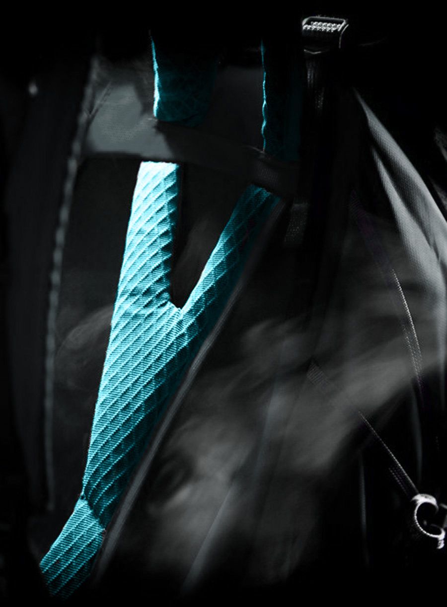 Дамска туристическа раница Salewa Alp Trainer 30+3 WS - black