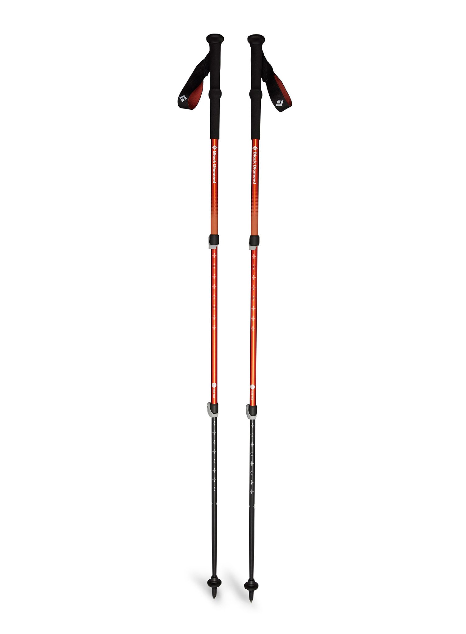 BlackDiamondTrailBackTrekkingPoles_burntsienna_793661603603a.jpg