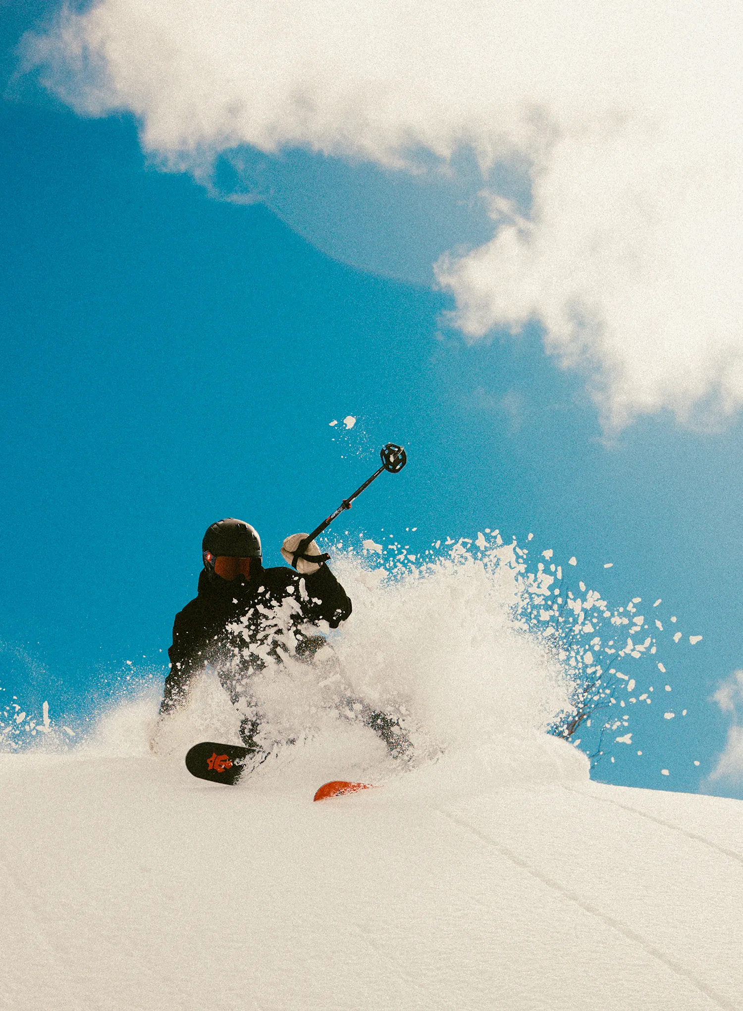 Щеки за ски туринг Majesty Freeride Telescopic Skipoles