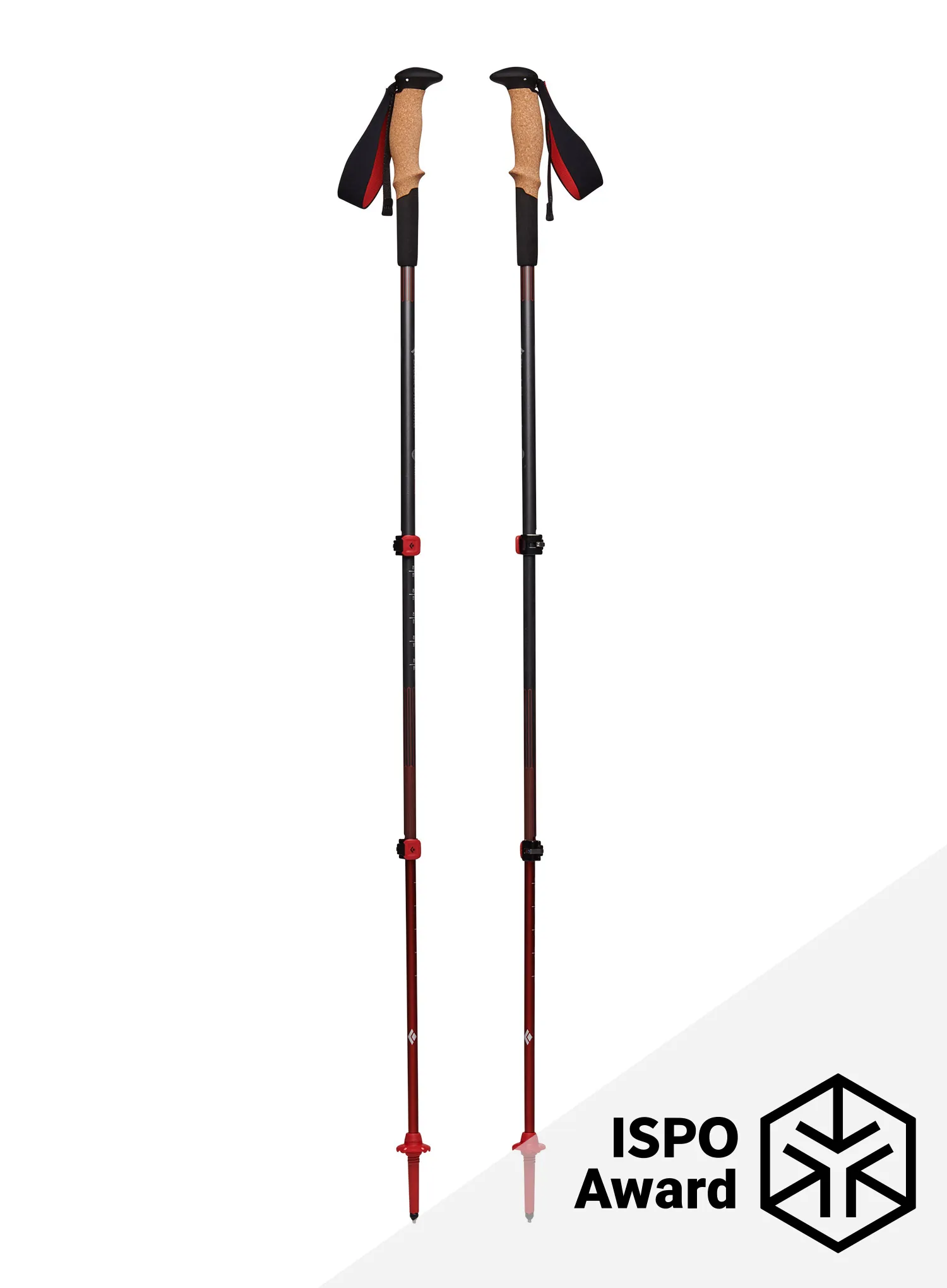 BlackDiamondPursuitShockTrekkingPolesS_M_grey___793661573449a.jpg