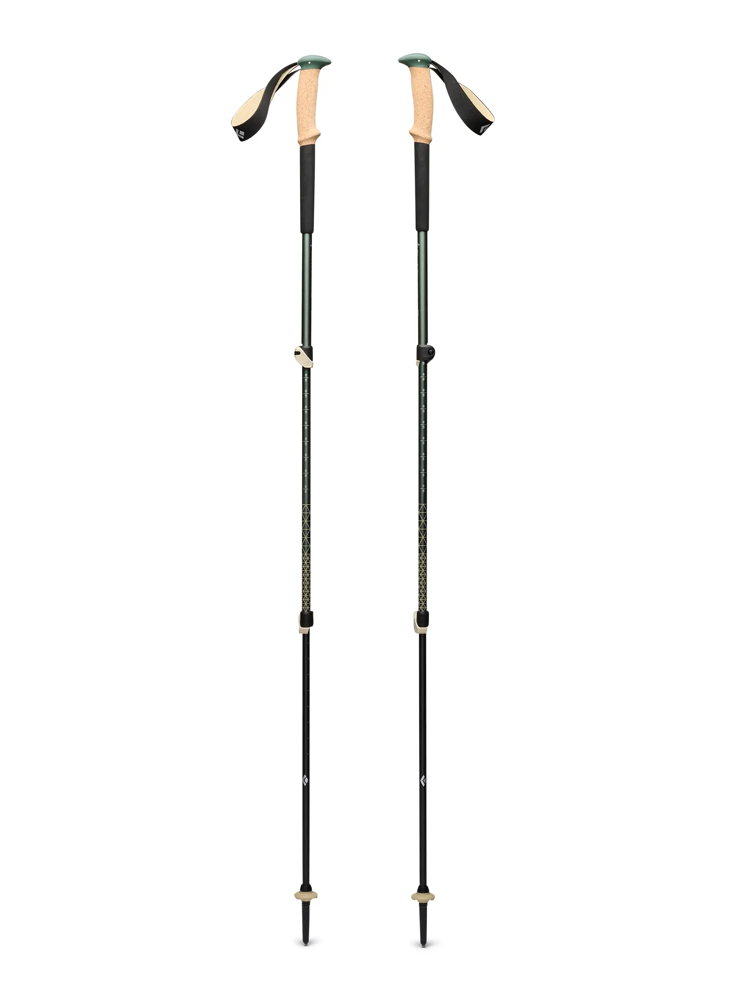 BlackDiamondTrailCorkTrekkingPoles_laurelgreen_793661665205a.webp