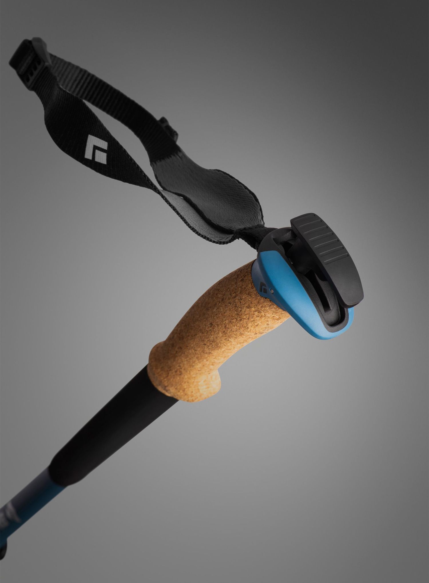 Карбонови щеки Black Diamond Alpine Carbon Cork WR - astral blue