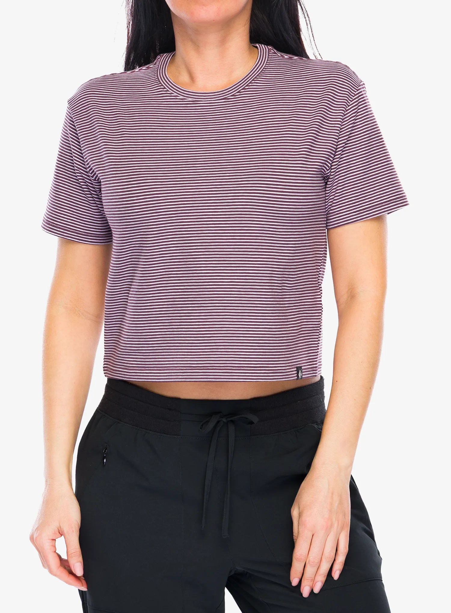 BlackDiamondBDStripeSSTee_figsoftlilac_793661671237a.webp