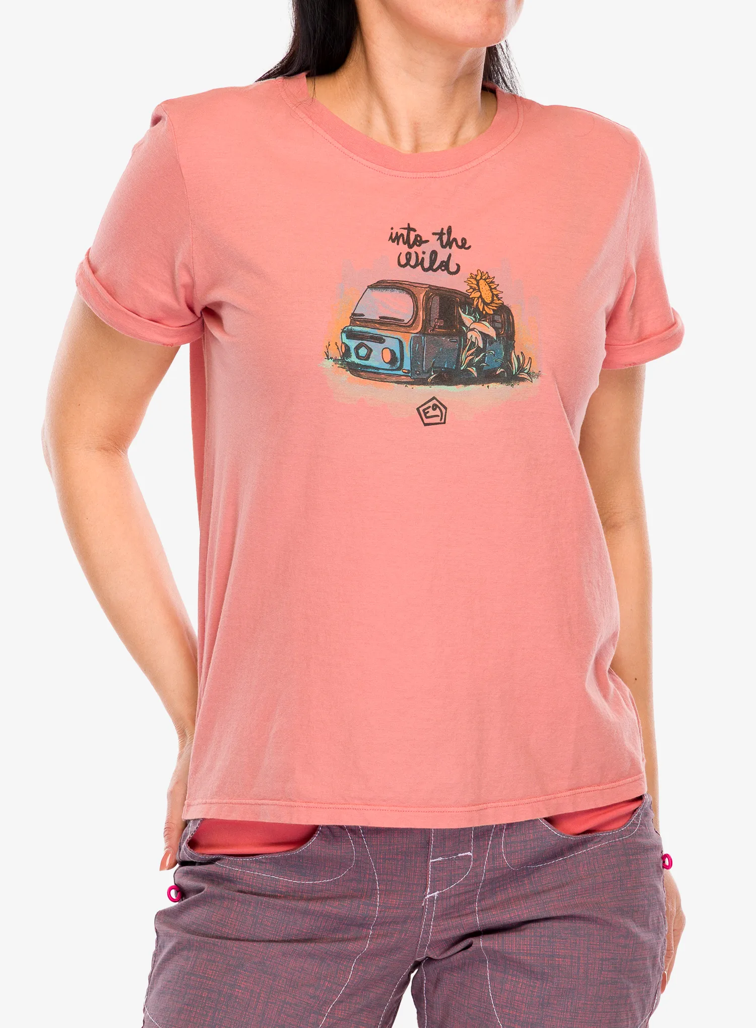 E9Wild_flamingo8055385528979c.webp