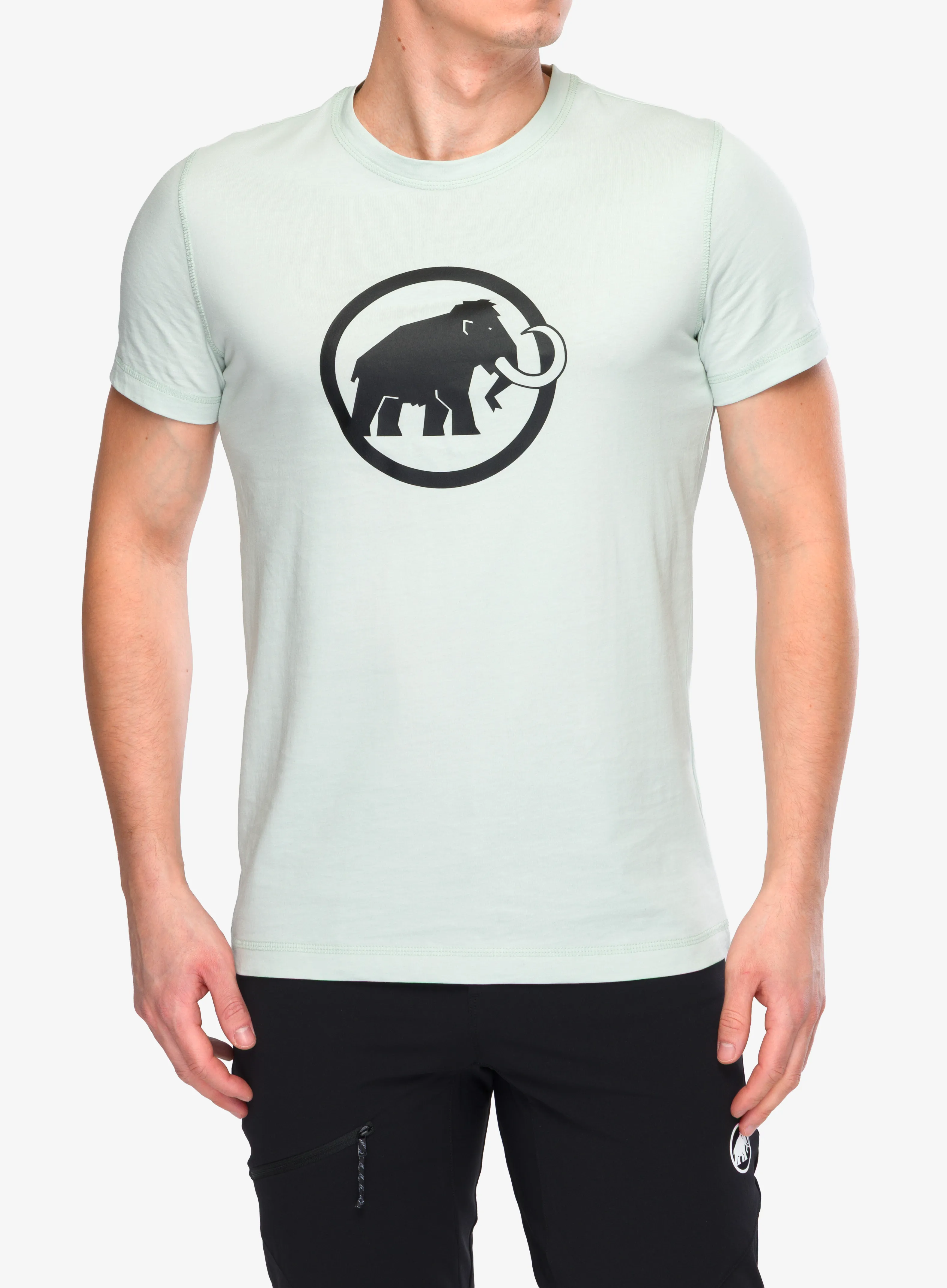 qweMammutCoreT_ShirtClassic_silversage7619876613523a.webp