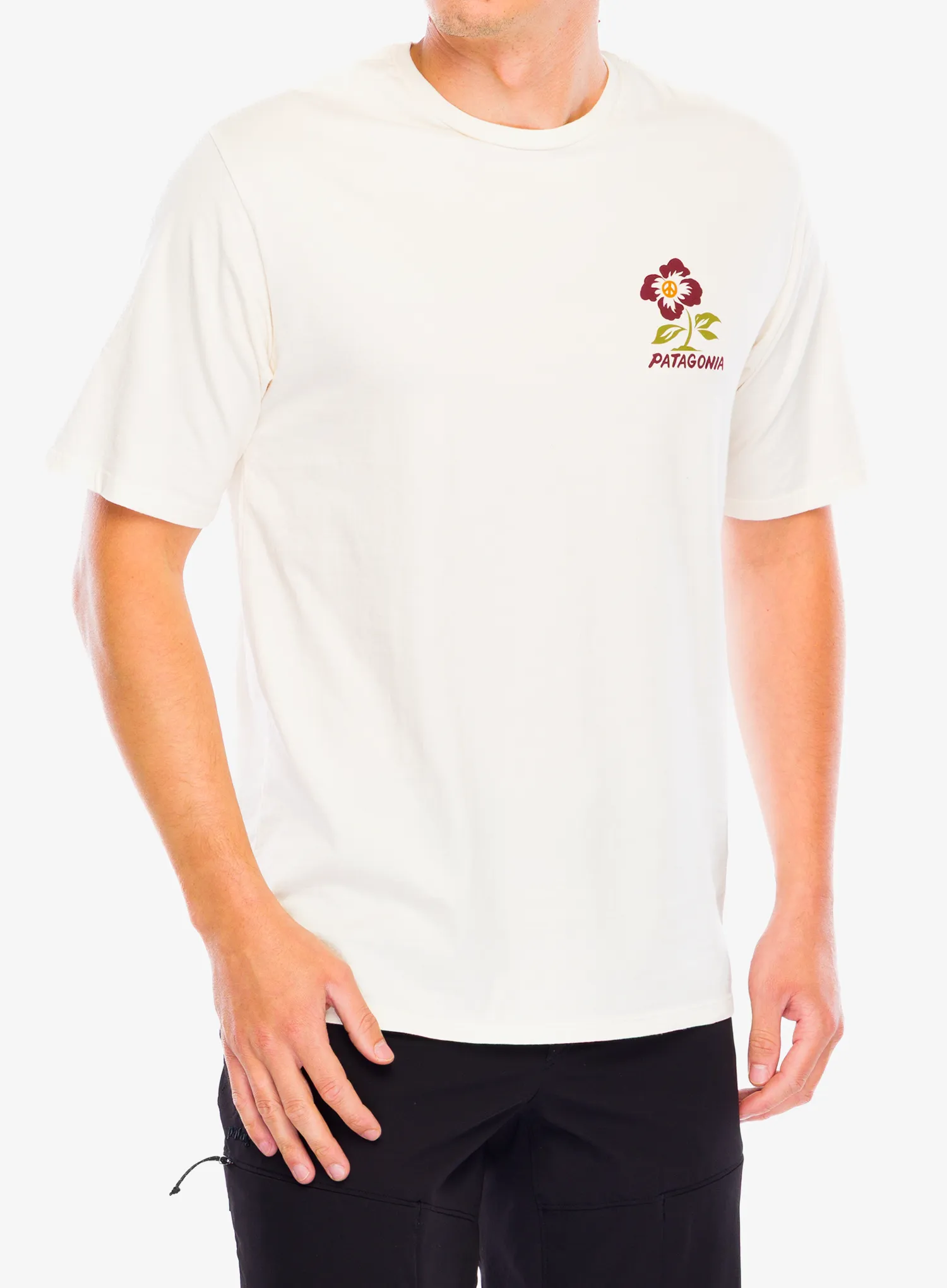 PatagoniaBalanceOrganicT_Shirt_peaceseeds_undyednatural_198077239178_251.webp