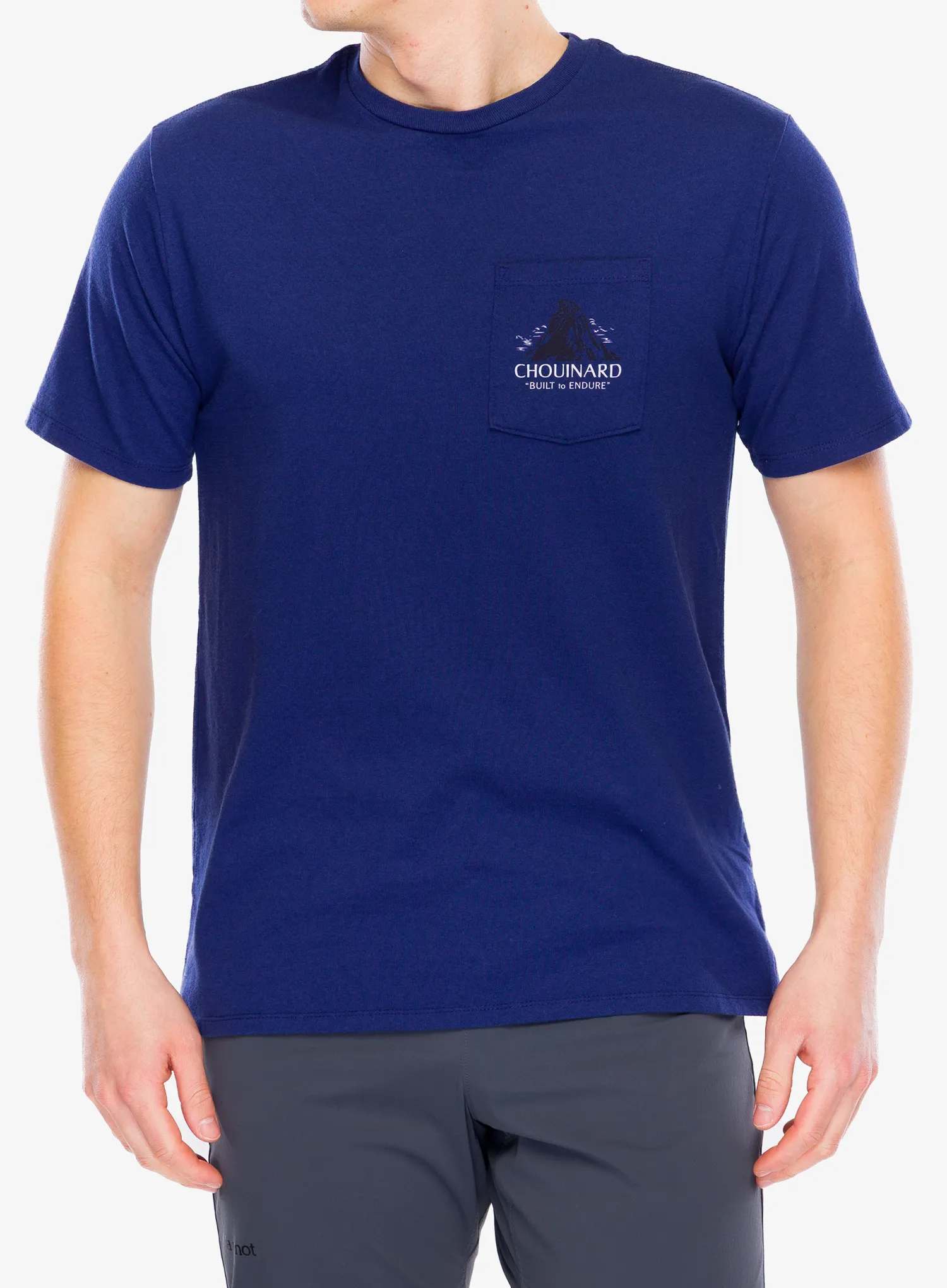 PatagoniaChouinardCrestPocketResponsibili_Tee_solsticepurple196924931411a.webp