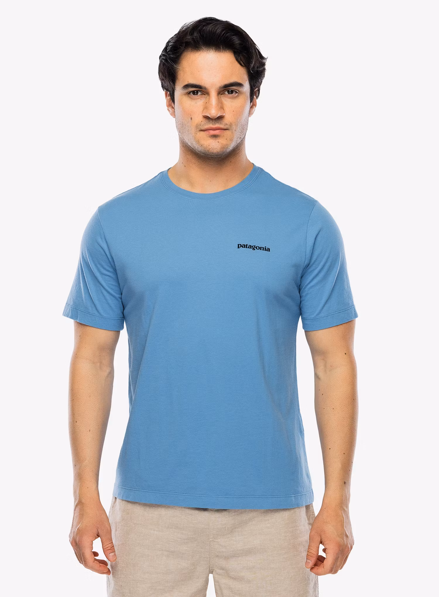 PatagoniaP_6LogoT_Shirtshoreblue198077794288g.webp