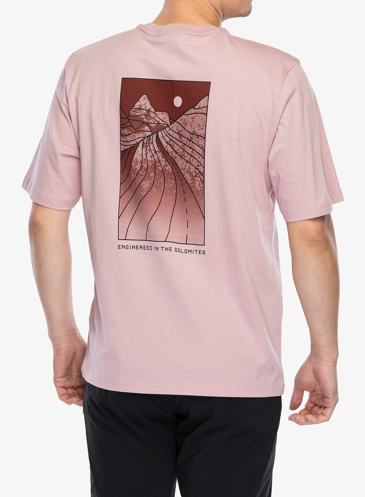 Памучна тениска Salewa Eagle Sunset Loose T-Shirt - zephyr