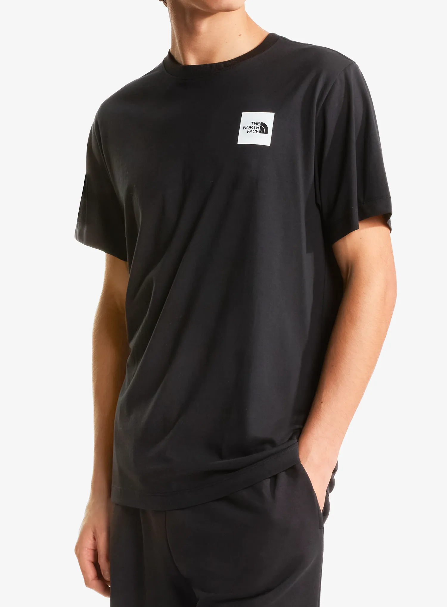 qweTheNorthFaceEvolutionBoxHalfDomeRegularShortblack198266075655a.webp
