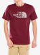 TheNorthFaceSSEasyTee_sumacmoonstonegrey_197642762233a.webp